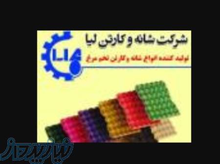 شرکت شانه و کارتن لیا 