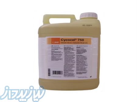 فروش سایکوسل  Cycocel 