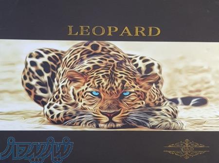 آلبوم کاغذ دیواری لئوپارد LEOPARD 