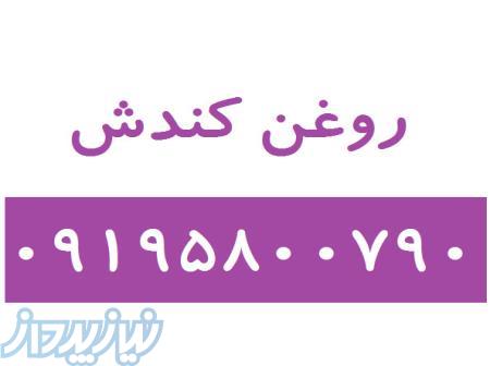 روغن کندش 