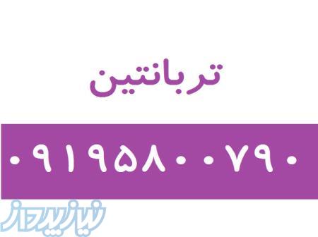 تربانتین 