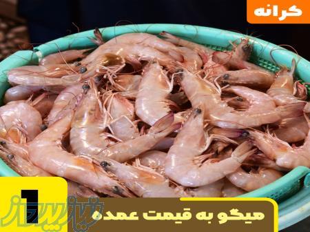 فروش انواع سایز میگو 