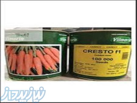 فروش بذر هویج کریستو