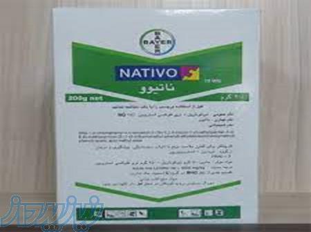 فروش سم قارچ کش ناتیوو nativo