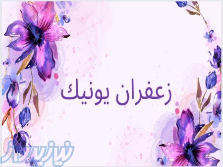 زعفران بونیک 