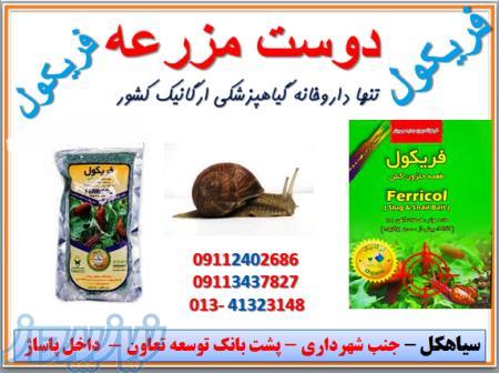 فریکول طعمه حلزون کش 