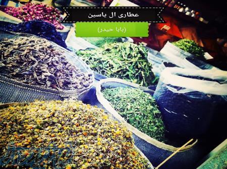 فروش روغن مار اصل 