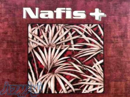 آلبوم کاغذ دیواری نفیس پلاس NAFIS PLUS 