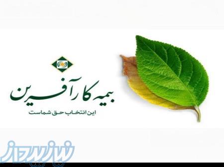 بیمه کارآفرین 