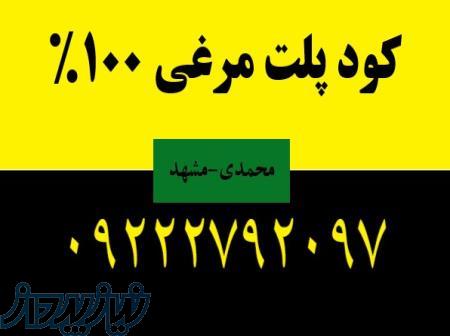 کود پلت مرغی100 درصد 09222792097 