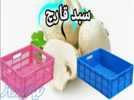 سبد قارچ ، سبد نگهداری و بسته بندی قارچ 