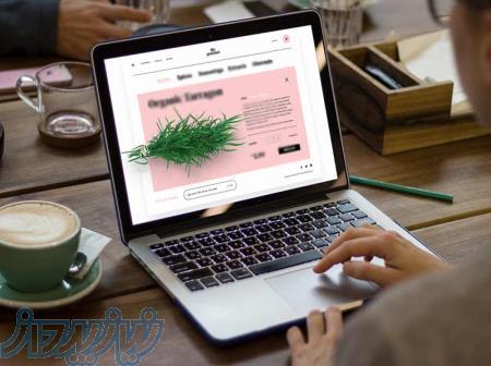 طراحی حرفه ای وب سایت 