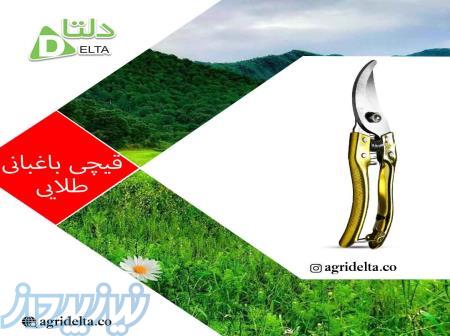 قیچی باغبانی طلایی 