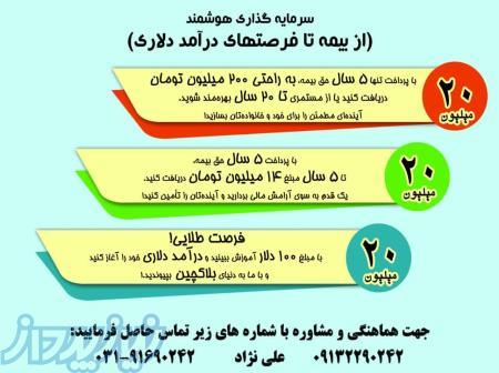 از بیمه تا درآمد دلاری 