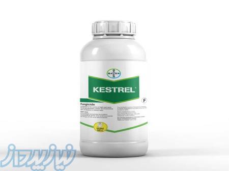 خرید Kestrel، سم قارچ‌کش مؤثر برای افزایش تناژ گندم 