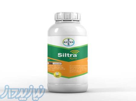 سفارش قارچ‌کش سیلترا Siltra Xpro؛ قوی‌ترین سم برای محافظت از مزارع جو 