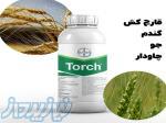 سفارش سم قارچ‌کش Torch، بهترین گزینه برای مزارع گندم و جو   خرید عمده 