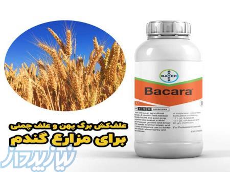 فروش عمده سم خارجی Bacara برای کنترل علف‌های هرز برگ پهن و علف چمنی مزارع گندم 