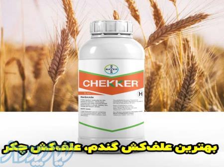 سفارش سم علف‌کش چکر Cekker، بهترین راه‌حل برای از بین برده علف‌های هرز مزارع گندم 