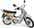 behro 125cc طرح ویو