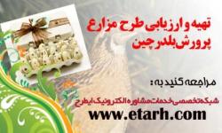 ارائه طرح توجیهی پرورش بلدرچین