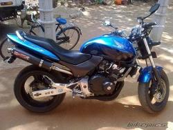 honda hornet 250  - اصفهان