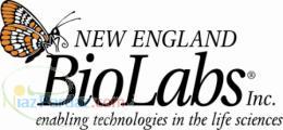 محصولات New England Biolabs