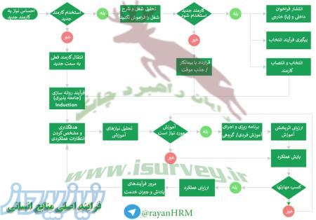 فرایند اصلی مدیریت منابع انسانی 