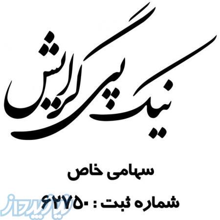 مبلمان شهری نیک پی گرایش 