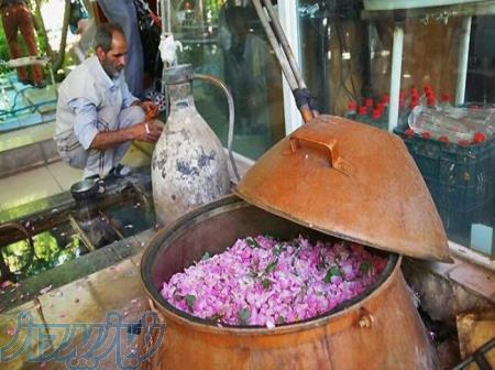 فروش عمده گلاب اعلا کاشان 